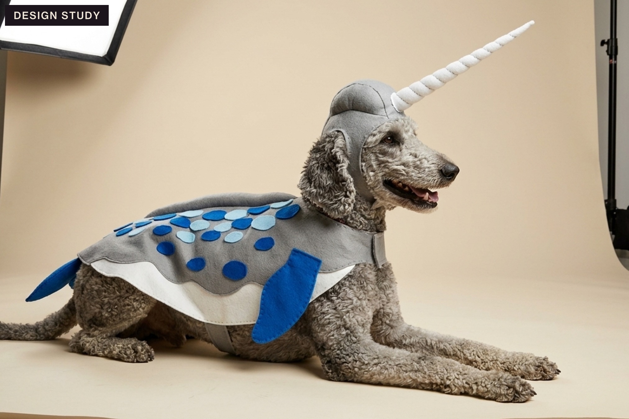 A poodle lying down in a narwhal costume — a grey spotted cape, a felt fluke and a spiral horn — full body